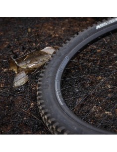 LLANTA 29 28H NOTUBES FLOW... 2